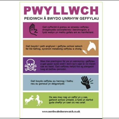 Pwyllwch!